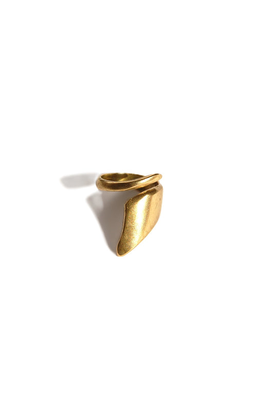 Triangle Ring